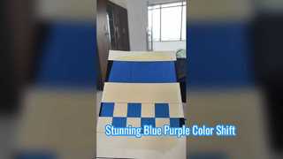 Camaleão Azul e Roxo